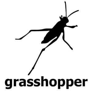 grasshopper1-1200x1200
