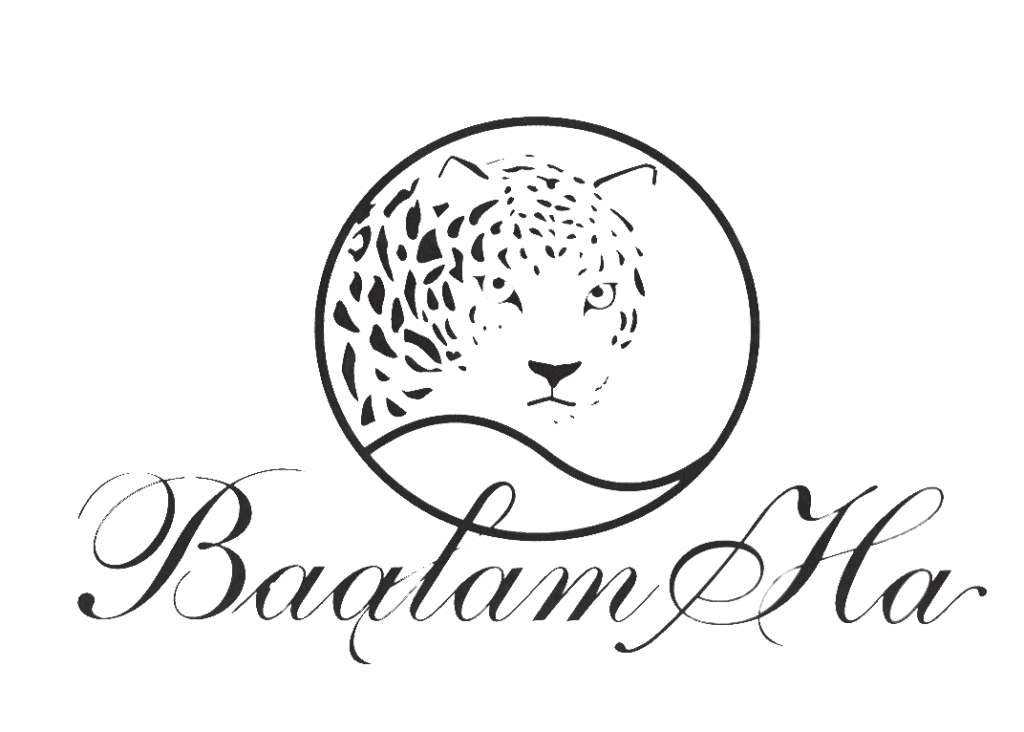 Logo balaam ha